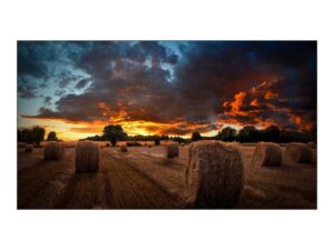 Samsung VM46B-U 46" Diagonal Class VMB-U Series LED-backlit LCD Display (LH46VMBUBGBXEN)